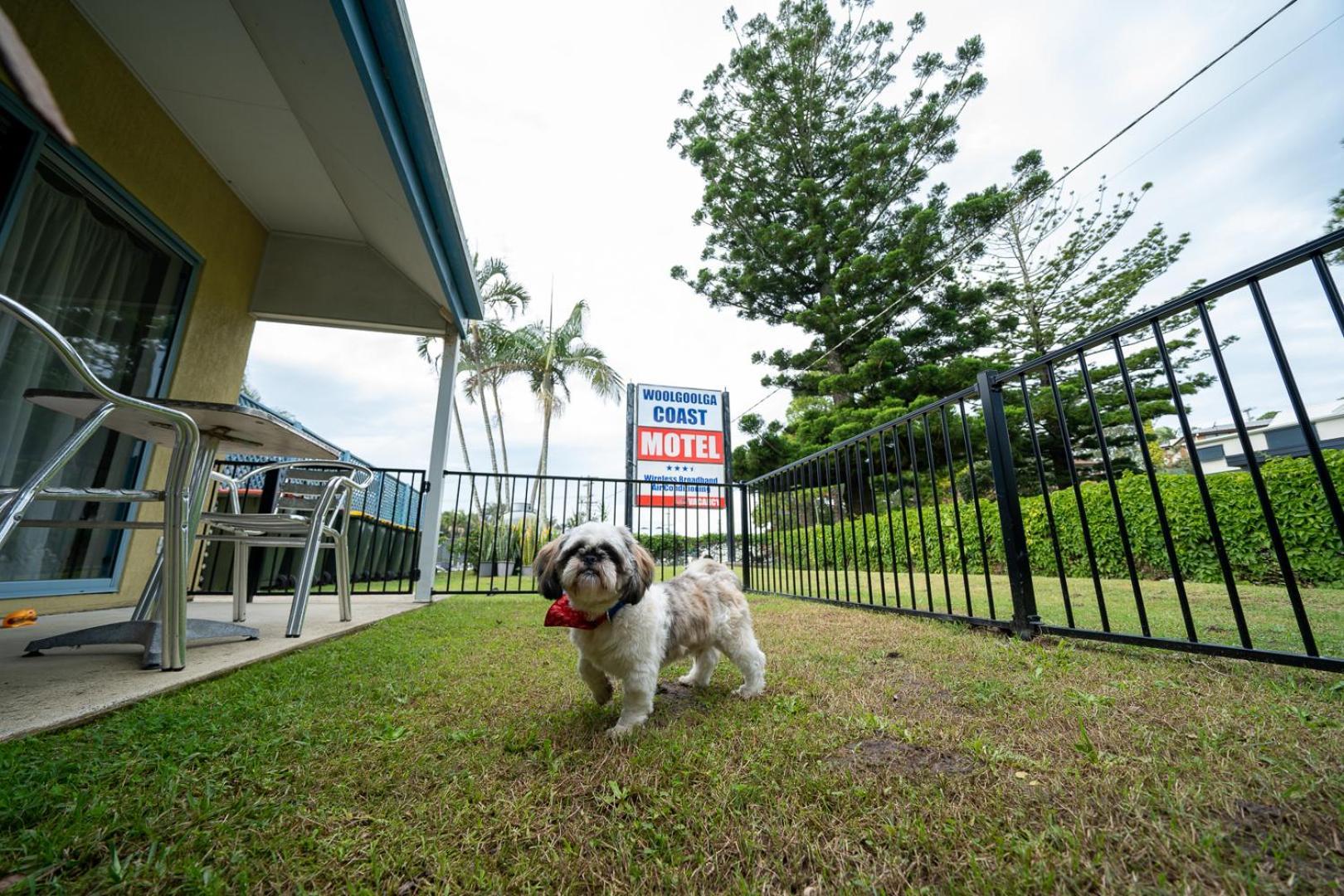 Woolgoolga Coast Motel Стая снимка